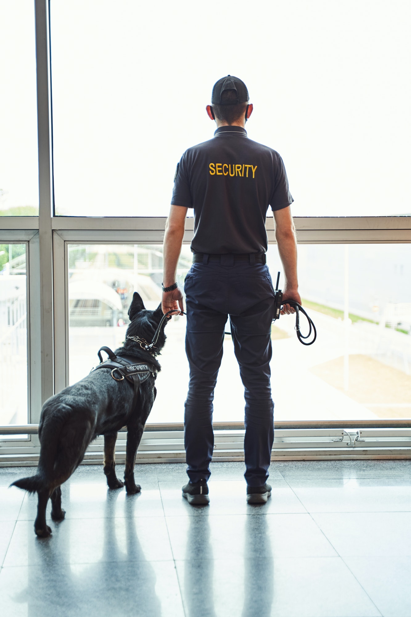 security-worker-with-detection-dog-standing-at-airport-terminal.jpg